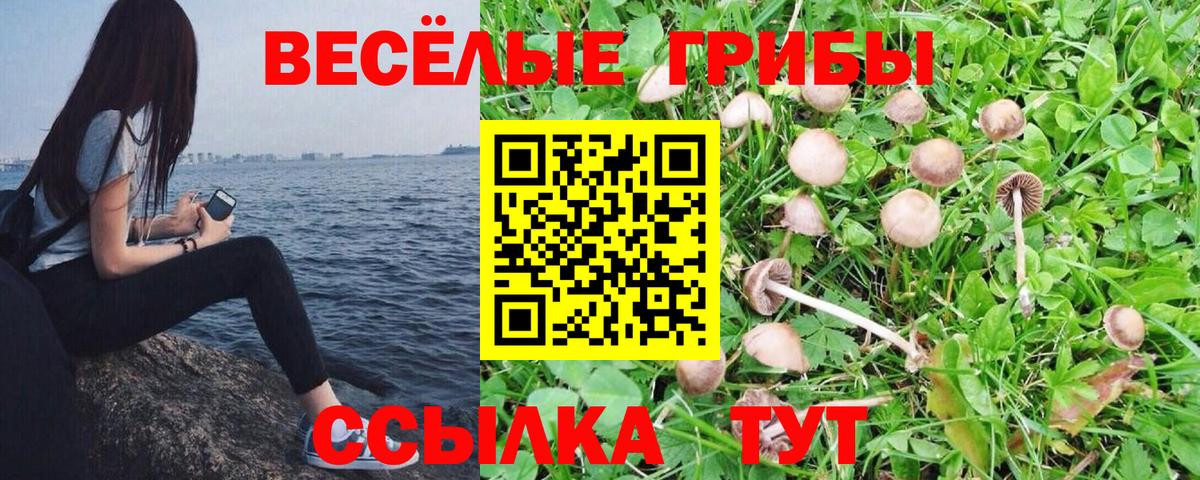 Псилоцибиновые грибы прущие грибы  Вход с VPN  Псилоцибиновые грибы мухоморы  Алексин 