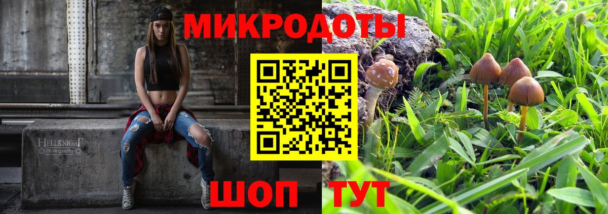 Псилоцибиновые грибы GOLDEN TEACHER Алексин